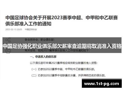 中国足协强化职业俱乐部欠薪审查逾期将取消准入资格 中国足协强化职业俱乐部欠薪审查逾期将取消准入资格