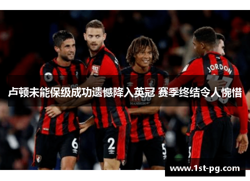 卢顿未能保级成功遗憾降入英冠 赛季终结令人惋惜 卢顿未能保级成功遗憾降入英冠 赛季终结令人惋惜